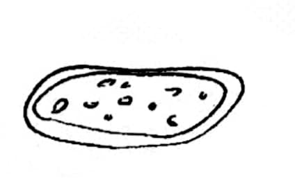 vegan copia vegan copia